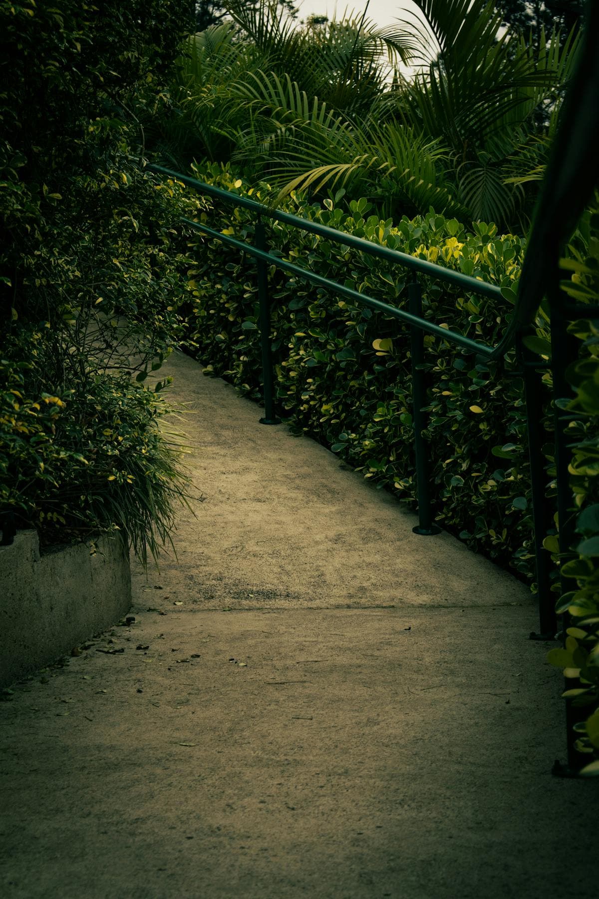 Concrete Paths Sydney